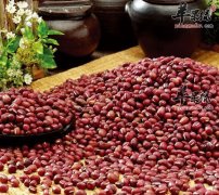 红小豆有哪些功效与作用_和赤小豆的区别_减肥法