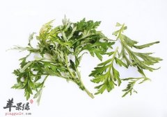 艾叶泡脚有哪些好处_治风湿_治脚气