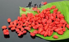 【脾胃虚吃枸杞】食用方法_注意事项