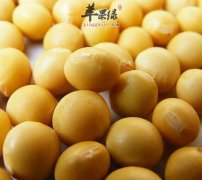 醋泡黄豆能具有减肥的功效吗