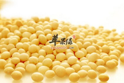 醋泡黄豆能具有减肥的功效吗