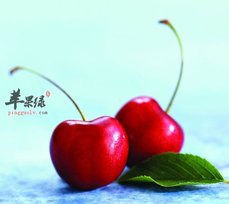吃樱桃可以减肥吗