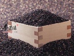 如何食用黑芝麻让营养翻倍——黑芝麻椹糊