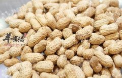 花生有五种保健功效 适宜老年人吃