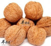 核桃抗衰老防疾病还美颜 核桃怎么吃更好