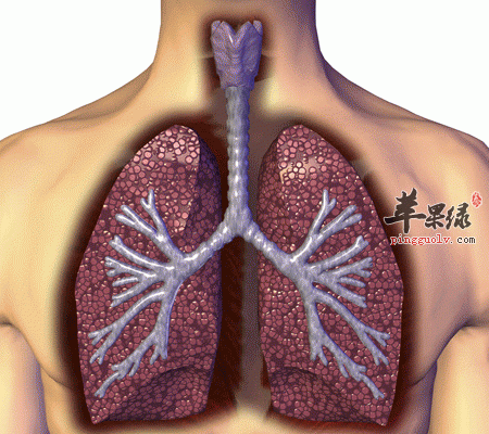 秋季清心养肺这么按摩最有效