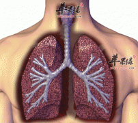 秋季清心养肺这么按摩最有效