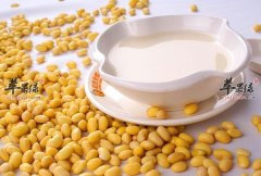 豆浆用途多 警惕豆浆随意喝会伤身