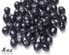 黑豆吃的时候要注意的事项 黑豆配枸杞功效翻百倍