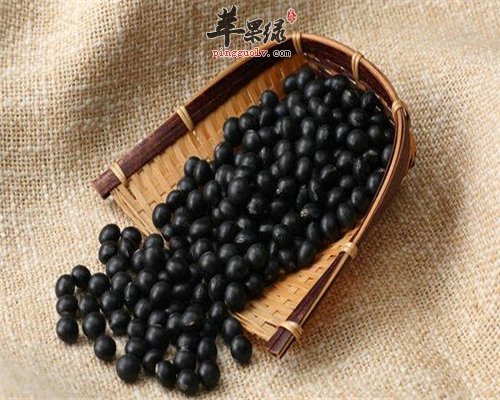 黑豆其貌不扬 但保健功效非常强