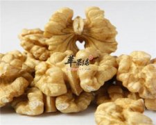 常吃“长寿果”补脑又聪明