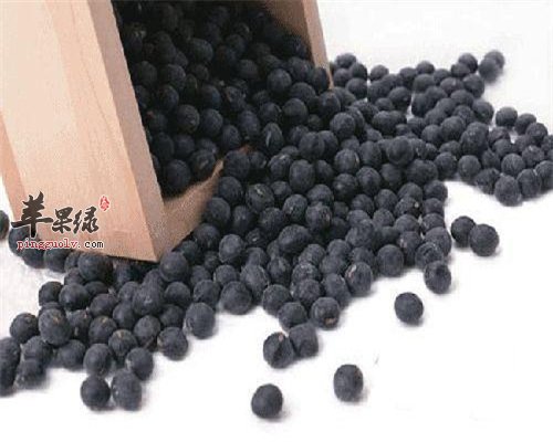黑豆补肾 也不是适合所有人食用