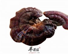 产后妈妈可以吃灵芝吗 用量需谨慎