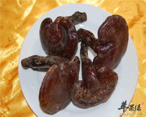 常吃灵芝好处多 抗癌又治病