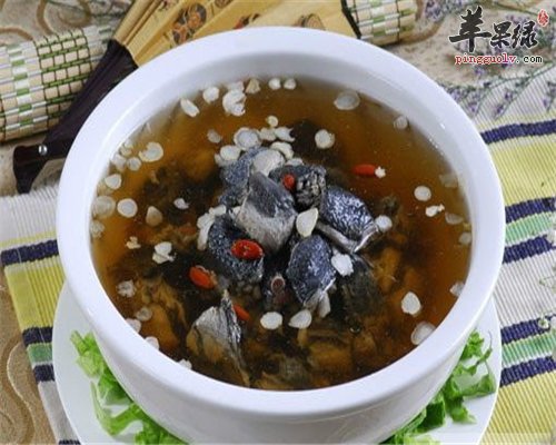 灵芝的食用方法 你一定要了解