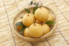 春季吃梨让女性皮肤