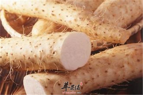 巧吃山药 让女人滋阴补血养颜