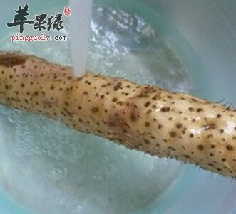 美味山药可以生吃下肚吗