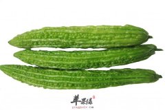 孕妇上火影响大 苦瓜能不能吃