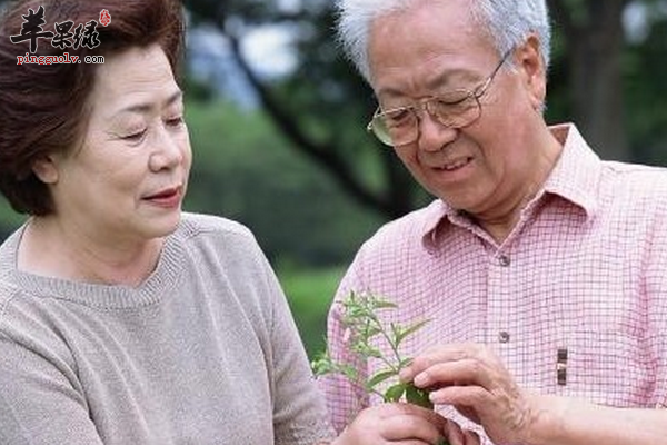 老年人发现手抖的时候要引起重视