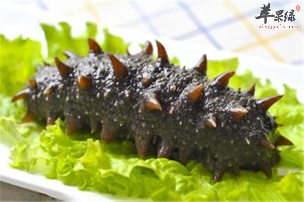 你必须要知道的常吃海参的四大作用