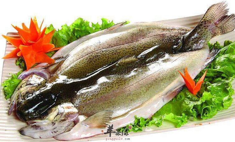 虹鳟鱼的营养价值