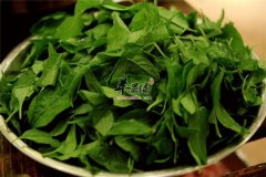 枸杞食用药用双选择 枸杞叶适不适合孕妇