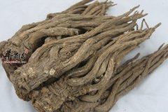当归药材泡水喝会有哪些功效
