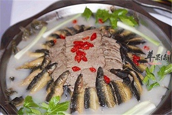 泥鳅可爱滑溜溜 补钙补血又抗衰