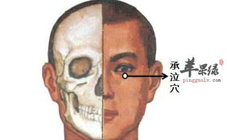 承泣穴位位置图_按摩手法_承泣穴的功效与作用