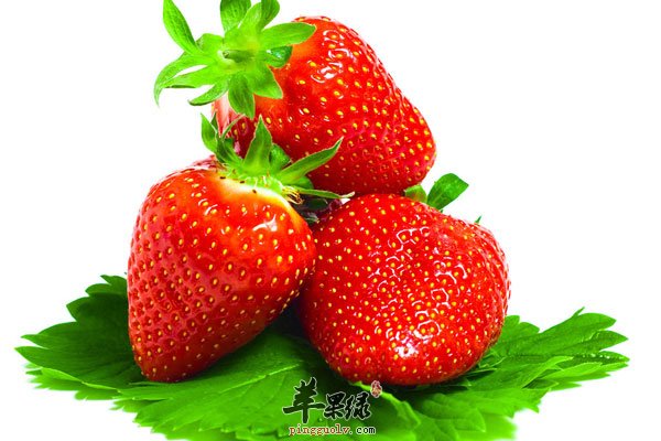 【补血的水果】补血_吃什么水果_缓解贫血的水果_苹果绿