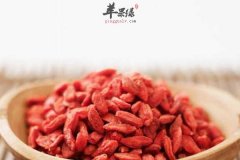 【枸杞泡水喝有哪些好处】能泡水吗_功效