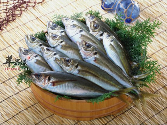 鲭鱼的营养价值 鲭鱼的功效与作用及食用方法 做法大全 食用禁忌 苹果绿