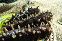 这样吃海参味道鲜而且营养充分保留