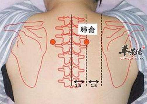 肺俞穴位位置图_肺俞穴的功效与作用_按摩手法