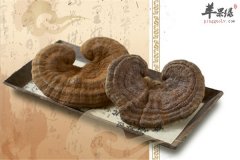 【产妇能吃灵芝吗】食用作用_注意事项_好处与坏处