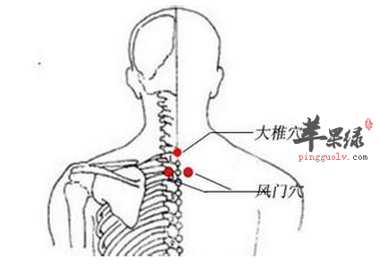 风门穴位位置图_风门穴的功效与作用_按摩手法