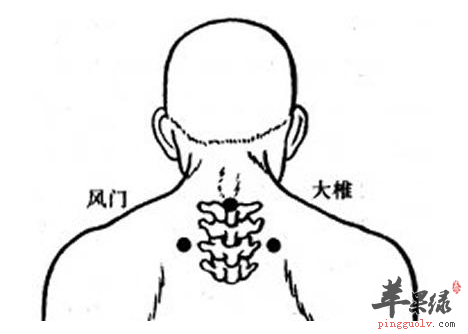 风门穴位位置图_风门穴的功效与作用_按摩手法