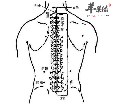 痞根穴位位置图_痞根穴的功效与作用_按摩手法