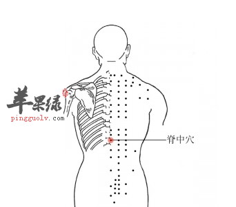 脊中穴位位置图