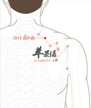 肩外俞位置图_肩外俞的功效与作用_按摩手法