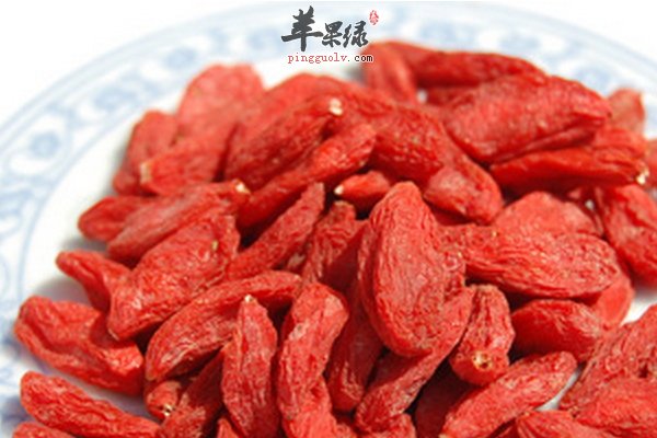 中草药枸杞 枸杞子泡水喝的一些知识