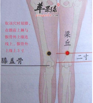 梁丘穴位位置及图片_梁丘穴的功效与作用_按摩手法