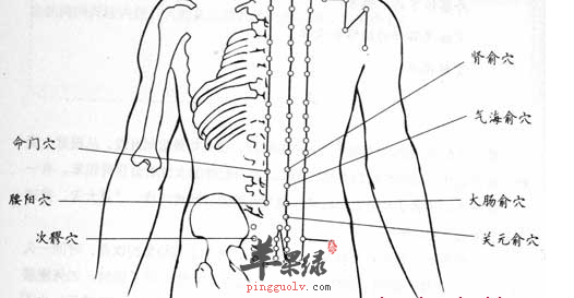 命门穴位位置图