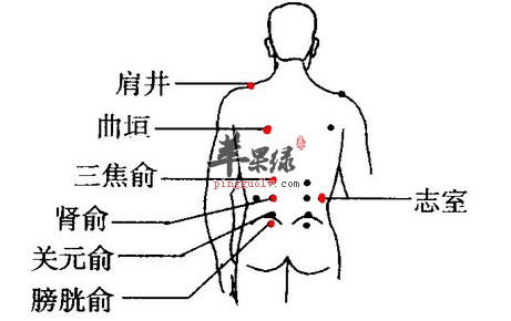 三焦俞图片