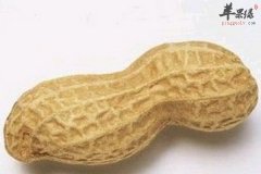 暖胃抗衰老千万不要错过花生