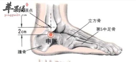 申脉穴位位置及图片_申脉穴的功效与作用_按摩手法