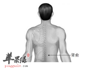 肾俞穴穴位位置图