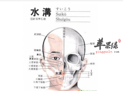 水沟穴位位置图