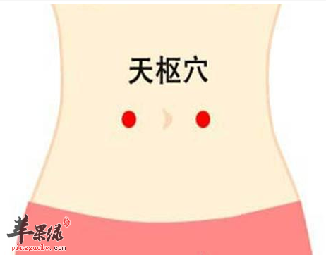天枢穴位位置图_天枢穴的功效与作用_按摩手